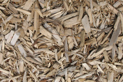 biomass boilers Worle
